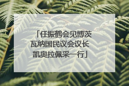 任振鹤会见博茨瓦纳国民议会议长凯奥拉佩采一行
