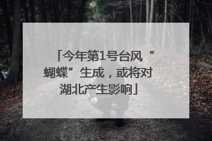 今年第1号台风“蝴蝶”生成，或将对湖北产生影响