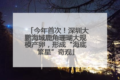 今年首次！深圳大鹏海域鹿角珊瑚大规模产卵，形成“海底繁星”奇观