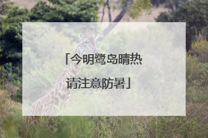 今明鹭岛晴热 请注意防暑
