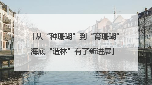从“种珊瑚”到“育珊瑚” 海底“造林”有了新进展