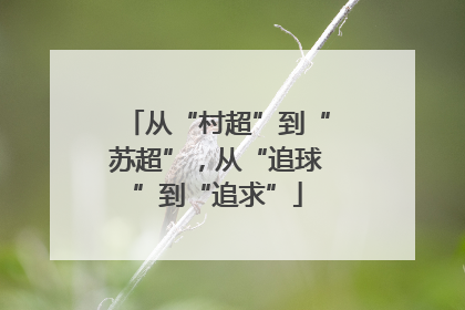 从“村超”到“苏超”，从“追球”到“追求”