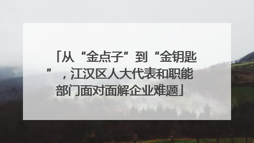 从“金点子”到“金钥匙”，江汉区人大代表和职能部门面对面解企业难题
