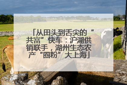 从田头到舌尖的“共富”快车：沪湖供销联手，湖州生态农产“圈粉”大上海