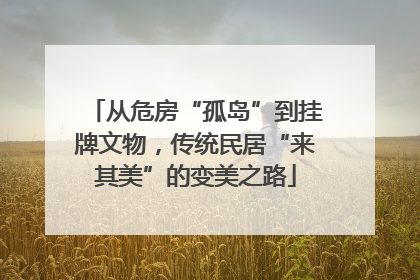 从危房“孤岛”到挂牌文物，传统民居“来其美”的变美之路