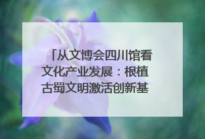 从文博会四川馆看文化产业发展：根植古蜀文明激活创新基因｜文博向“新”