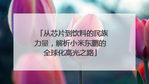 从芯片到饮料的民族力量，解析小米东鹏的全球化高光之路