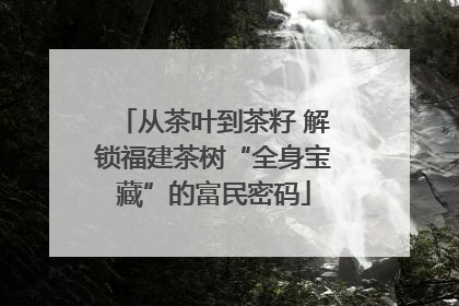 从茶叶到茶籽 解锁福建茶树“全身宝藏”的富民密码