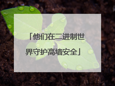 他们在二进制世界守护高墙安全