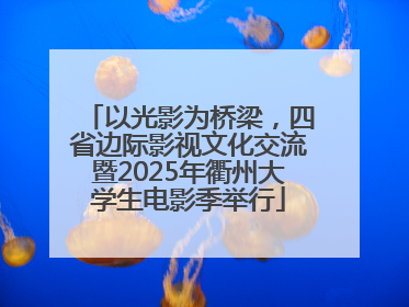以光影为桥梁，四省边际影视文化交流暨2025年衢州大学生电影季举行