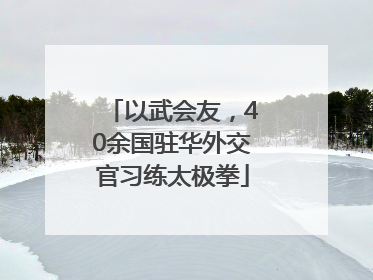以武会友，40余国驻华外交官习练太极拳