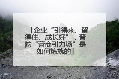 企业“引得来、留得住、成长好”，普陀“营商引力场”是如何炼就的