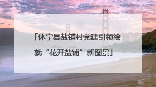 休宁县盐铺村党建引领绘就“花开盐铺”新图景