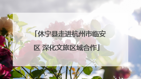 休宁县走进杭州市临安区 深化文旅区域合作