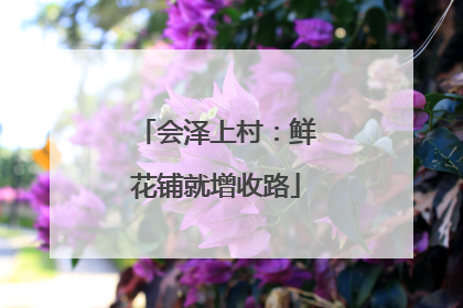 会泽上村：鲜花铺就增收路