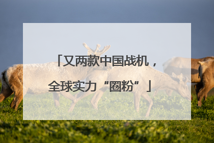 又两款中国战机，全球实力“圈粉”