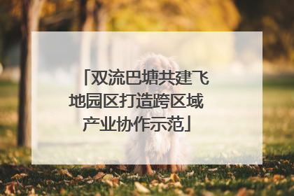 双流巴塘共建飞地园区打造跨区域产业协作示范