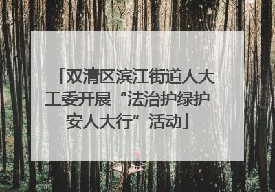 双清区滨江街道人大工委开展“法治护绿护安人大行”活动