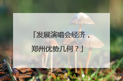 发展演唱会经济，郑州优势几何？