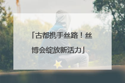古都携手丝路！丝博会绽放新活力