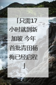 只需17小时就到新加坡 今年首批青田杨梅已经启程