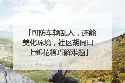可防车辆乱入，还能美化环境，社区胡同口上新花箱巧解难题