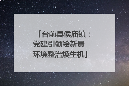 台前县侯庙镇：党建引领绘新景 环境整治焕生机