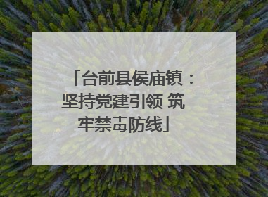 台前县侯庙镇：坚持党建引领 筑牢禁毒防线