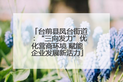 台前县凤台街道：“三向发力”优化营商环境 赋能企业发展新活力