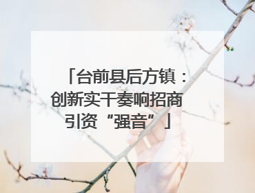 台前县后方镇：创新实干奏响招商引资“强音”