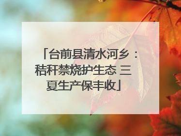 台前县清水河乡：秸秆禁烧护生态 三夏生产保丰收
