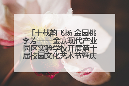 十载韵飞扬 金园桃李芳——金寨现代产业园区实验学校开展第十届校园文化艺术节暨庆“六一”系列活动