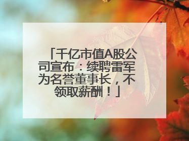 千亿市值A股公司宣布：续聘雷军为名誉董事长，不领取薪酬！