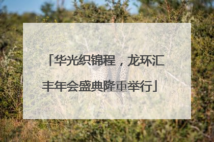 华光织锦程，龙环汇丰年会盛典隆重举行