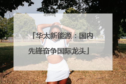 华太新能源：国内先锋奋争国际龙头