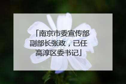 南京市委宣传部副部长张政，已任高淳区委书记