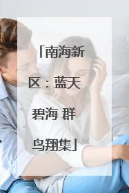 南海新区：蓝天碧海 群鸟翔集