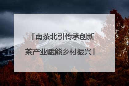 南茶北引传承创新 茶产业赋能乡村振兴