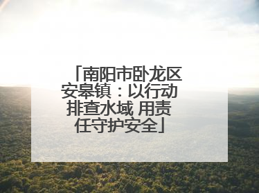 南阳市卧龙区安皋镇：以行动排查水域 用责任守护安全