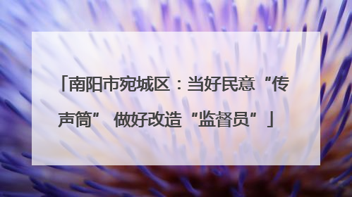 南阳市宛城区：当好民意“传声筒” 做好改造“监督员”
