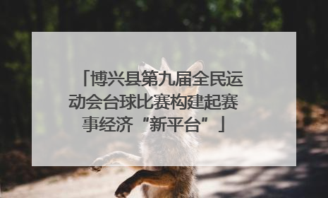博兴县第九届全民运动会台球比赛构建起赛事经济“新平台”
