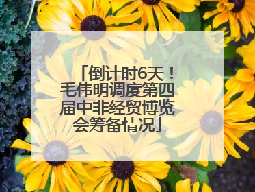 倒计时6天！毛伟明调度第四届中非经贸博览会筹备情况