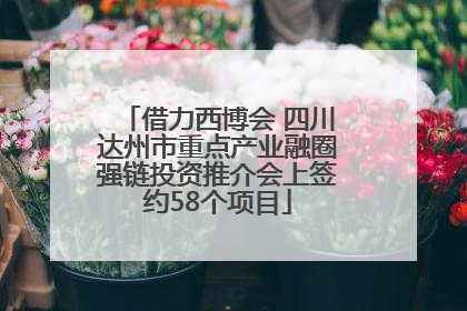 借力西博会 四川达州市重点产业融圈强链投资推介会上签约58个项目