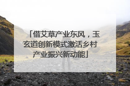 借艾草产业东风，玉玄道创新模式激活乡村产业振兴新动能