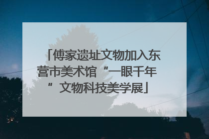 傅家遗址文物加入东营市美术馆“一眼千年”文物科技美学展