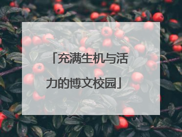 充满生机与活力的博文校园