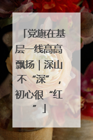 党旗在基层一线高高飘扬｜深山不“深”，初心很“红”