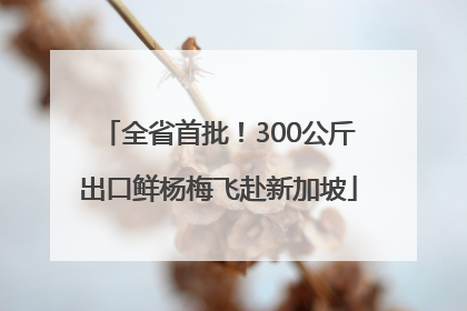 全省首批！300公斤出口鲜杨梅飞赴新加坡