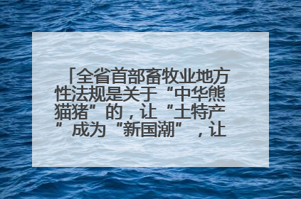 全省首部畜牧业地方性法规是关于“中华熊猫猪”的，让“土特产”成为“新国潮”，让“农产品”升格为“城市IP”