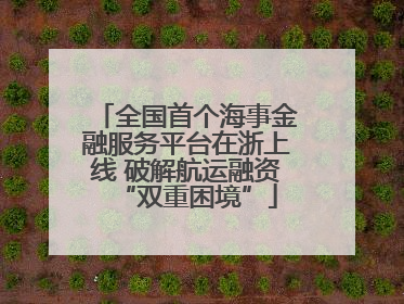 全国首个海事金融服务平台在浙上线 破解航运融资“双重困境”